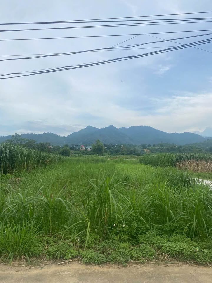 Đất nghỉ dưỡng Thôn Bài, Yên Bài, Ba Vì 400m² - Lô góc view đẹp