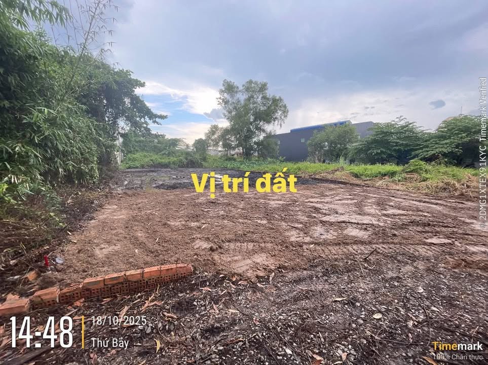 Đất nền ấp 4 Long Thọ 307m² giá chỉ 3.1 tỷ - Cơ hội đầu tư hấp dẫn!