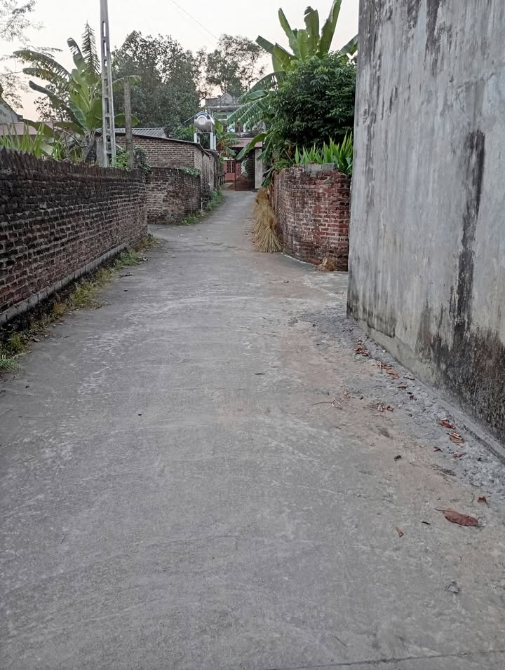 Đất Dương Thành, Phú Bình 186m² giá 500 triệu - Cơ hội đầu tư hấp dẫn!