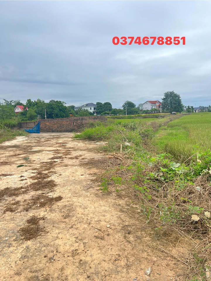 Đất thổ cư 200m² Lương Phú - Gần KCN Phú Bình - Giá chỉ 600 triệu VND!