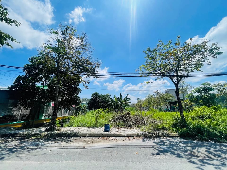 Đất chính chủ Tân Thông Hội Củ Chi 110m² giá 2.4 tỷ - Đầu tư sinh lời nhanh chóng!