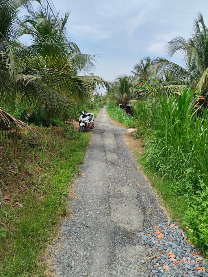 Đất mặt tiền kênh 3560m² tại Tân Hương, Châu Thành, Đồng Tháp - Giá chỉ 1.998 tỷ!