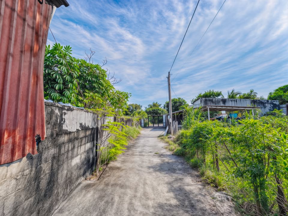 Đất thổ cư 321m² Tân Phước, La Gi - Chỉ 1.3 tỷ, đầu tư sinh lời!