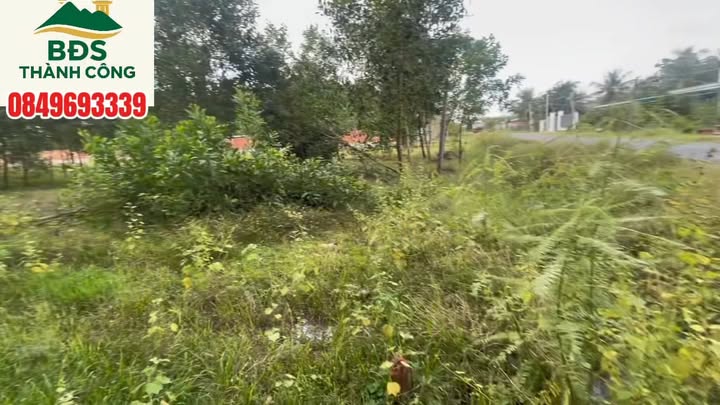 Đất nền 2200m² tại Ấp Long Phú, Tây Ninh giá chỉ 1.3 tỷ - Cơ hội đầu tư hấp dẫn!