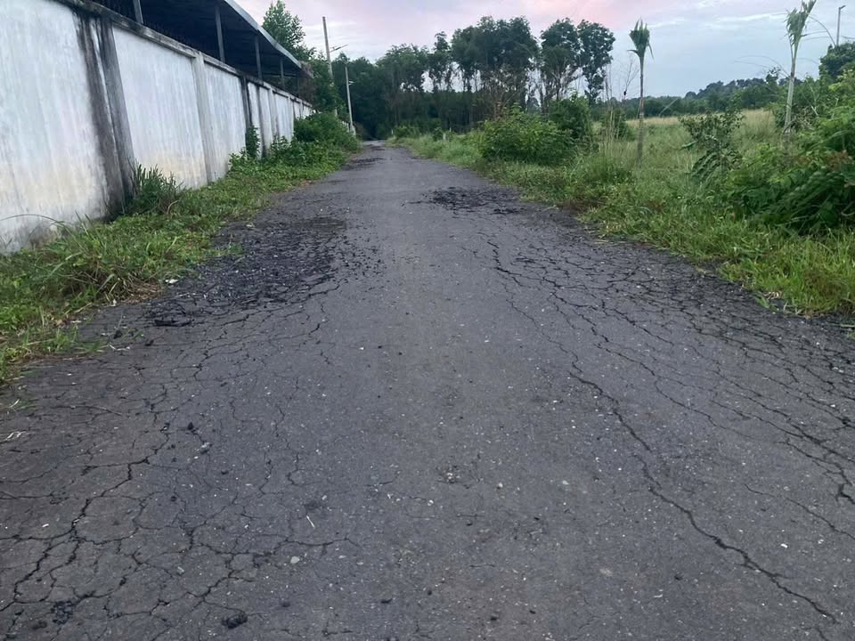 Đất nền 216m² tại ấp 3 Phước Bình, Long Thành - Giá chỉ 1 tỷ VND!