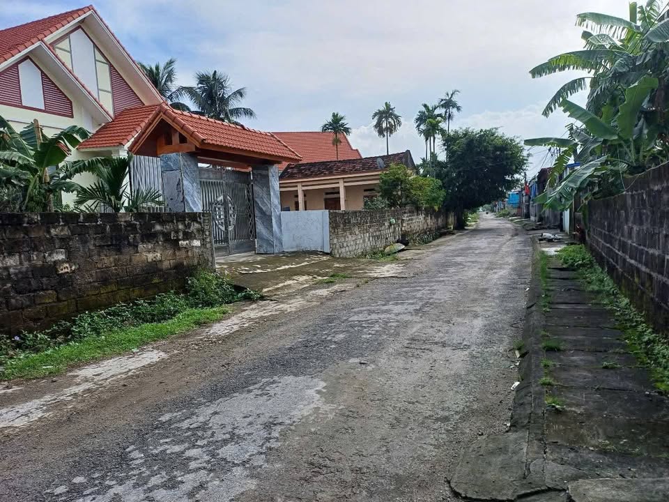 Đất nền Lưu Kiếm Hải Phòng 87m² giá 1 tỷ - Vị trí kinh doanh thuận lợi!