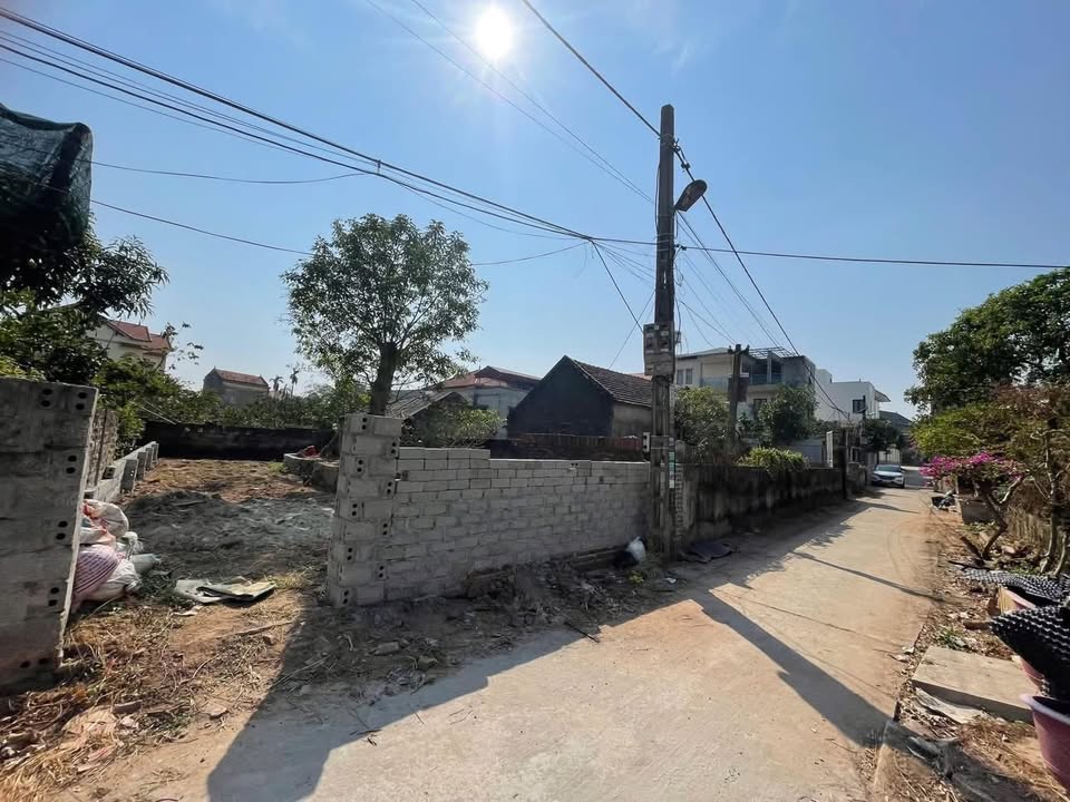 Đất nền 98,8m² tại thôn Vĩnh Lộc, Tân Tiến, Văn Giang - Giá chỉ 4.4 tỷ!