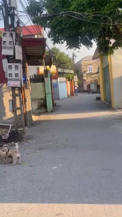 Đất nền Tân Mỹ, Việt Yên 77m² giá chỉ 2 tỷ - Cơ hội đầu tư tuyệt vời!