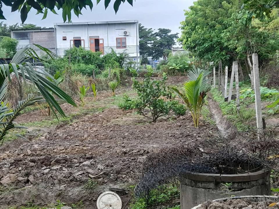 Đất nông nghiệp 700m² tại Long Bình, Ninh Thuận - Nhà cấp 4 mới, giá 650 triệu