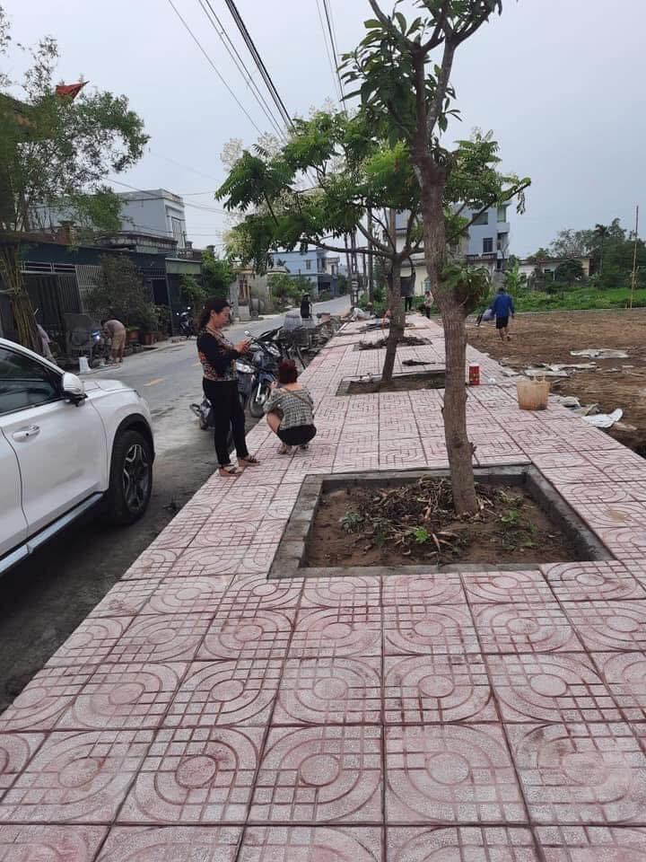 Đất thổ cư xã Bắc Hải, Tiền Hải 125m² giá chỉ 1.1 tỷ - Cơ hội đầu tư sinh lời!