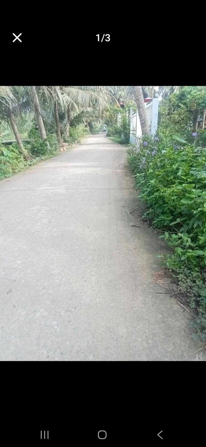 Nhà mới 100% tại xã Phong Nẫm, Giồng Trôm, Bến Tre - Giá chỉ 750 triệu!