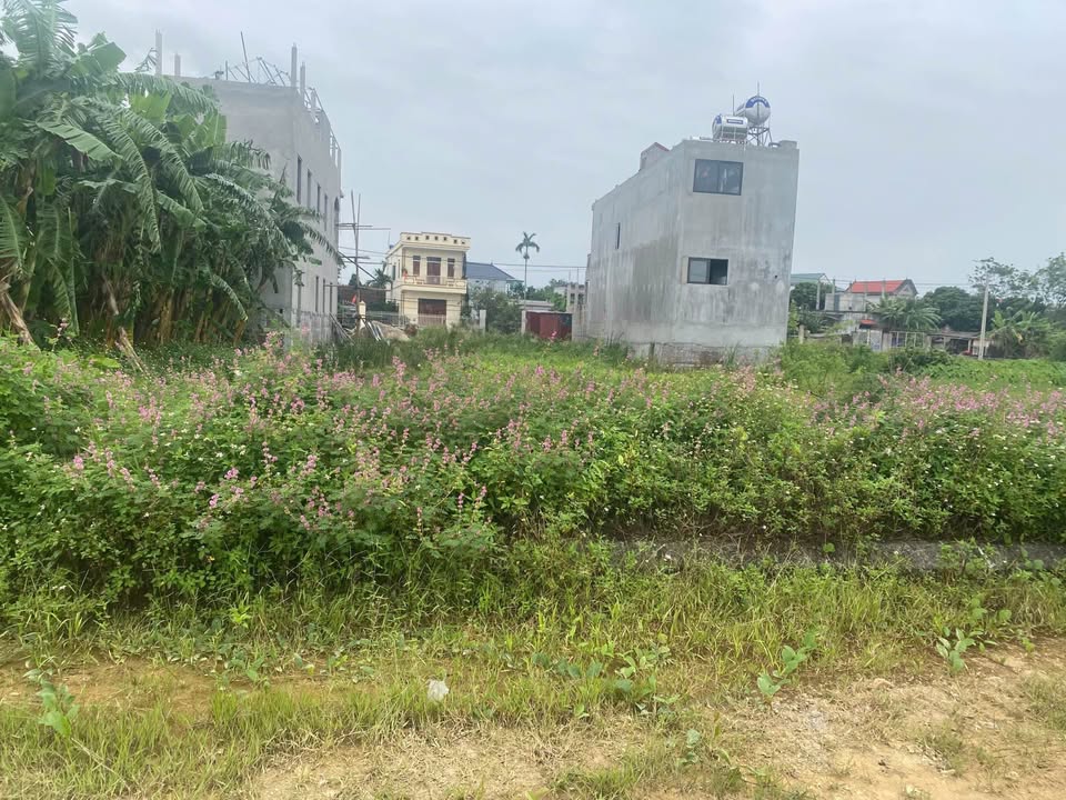 Đất nền Liêm Túc, Thanh Liêm 120m² giá 1.6 tỷ - Vị trí đắc địa, dân cư đông đúc!