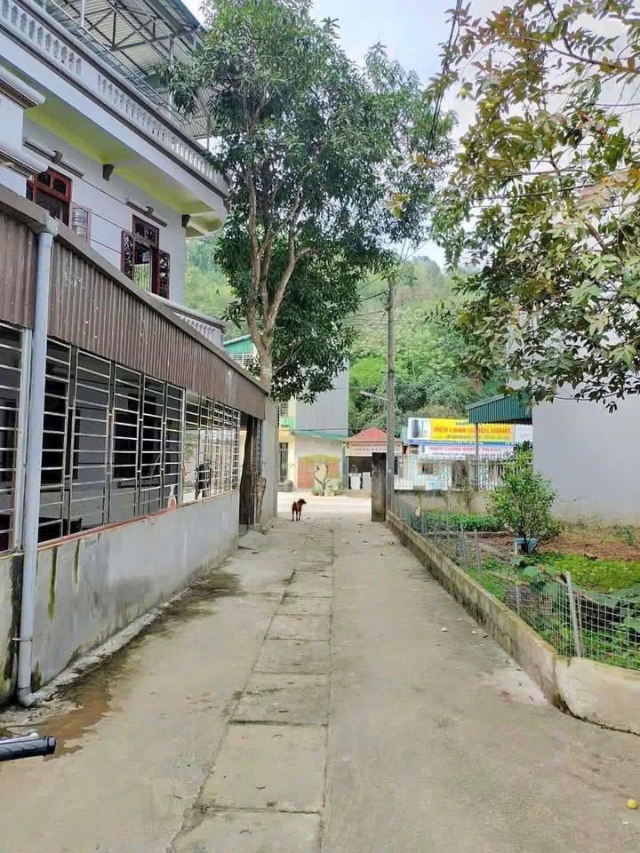 Đất tại ngõ đường 19/5, Hà Giang 96m² giá 1.5 tỷ - Thương lượng nhẹ!