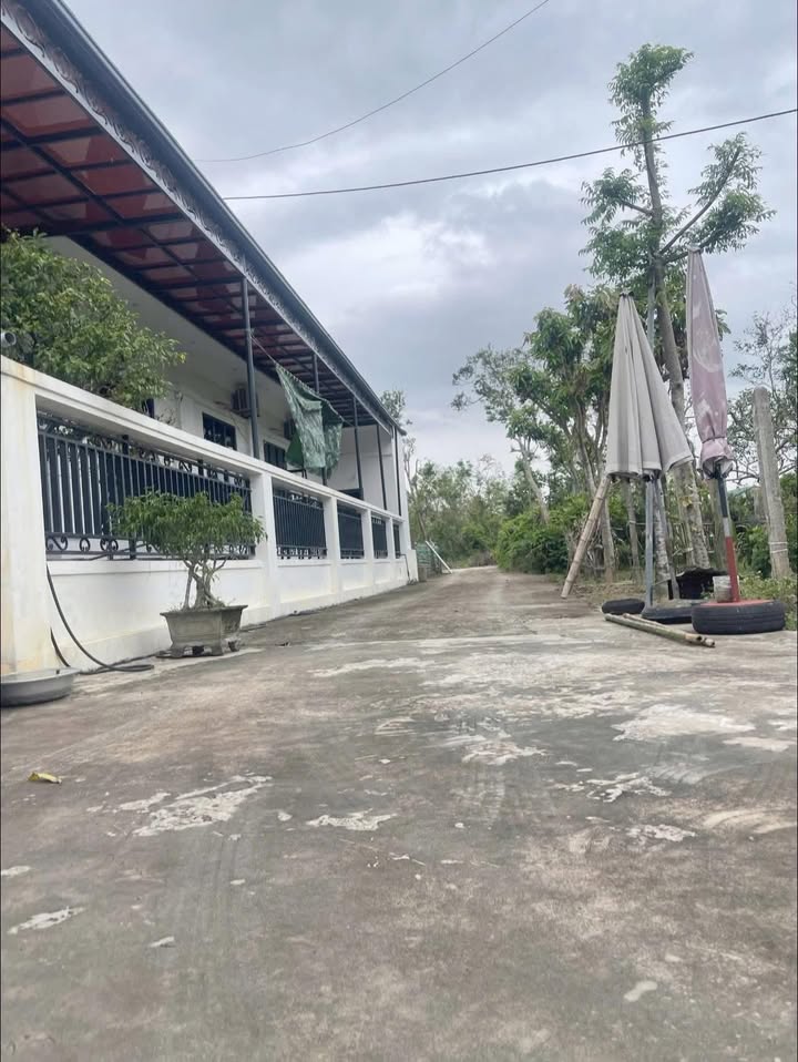 Đất nền Nghi Xuân 115m² giá chỉ 600 triệu - Cơ hội đầu tư tuyệt vời!