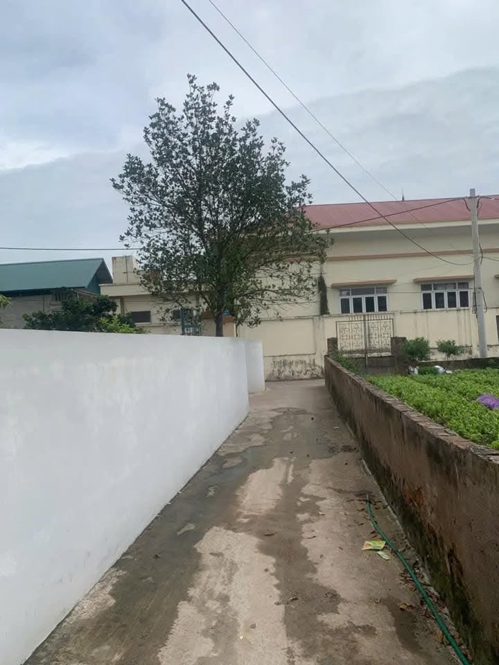 Đất nền Vân Tảo, Thường Tín 40m² giá 1 tỷ - Sổ hồng chính chủ, nở hậu