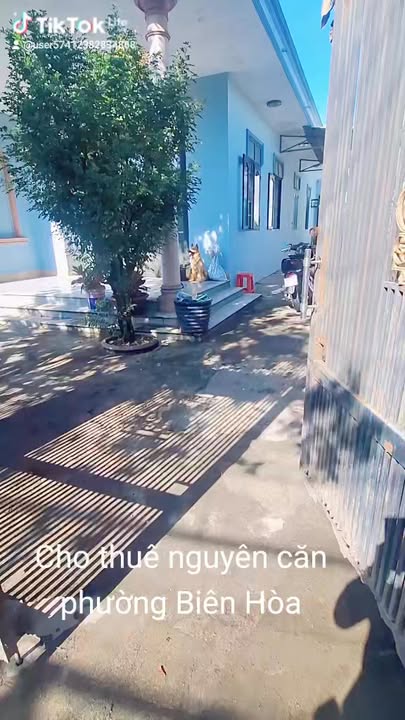 Nhà cho thuê nguyên căn Biên Hòa 300m² - Hướng Đông, an ninh tốt