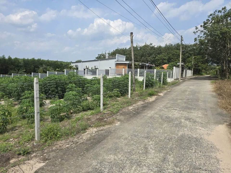 Đất nền Phước Bình Long Thành 130m² giá 900 triệu - Sổ đỏ chính chủ sẵn sàng giao dịch!