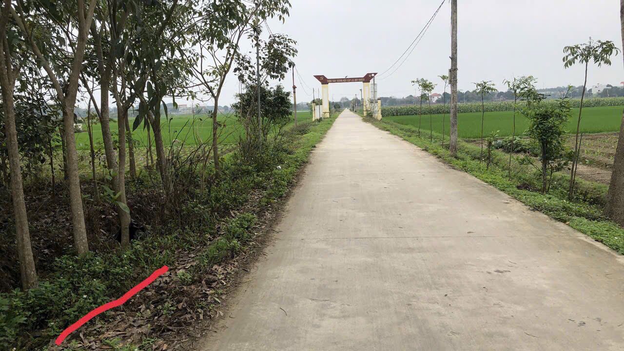 Đất nền Tân Yên 120m² giá 1 tỷ - Cơ hội đầu tư sinh lời!