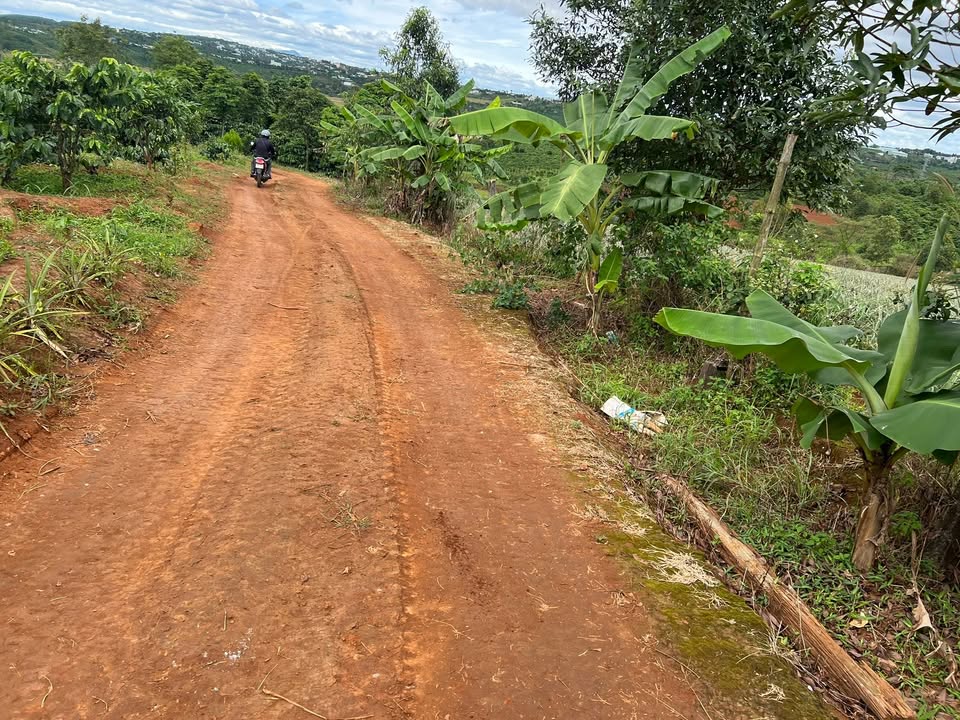 Đất 2 mặt đường Làng Thông Ngó, TP Pleiku 1318m² - Giá chính chủ, vị trí đẹp!