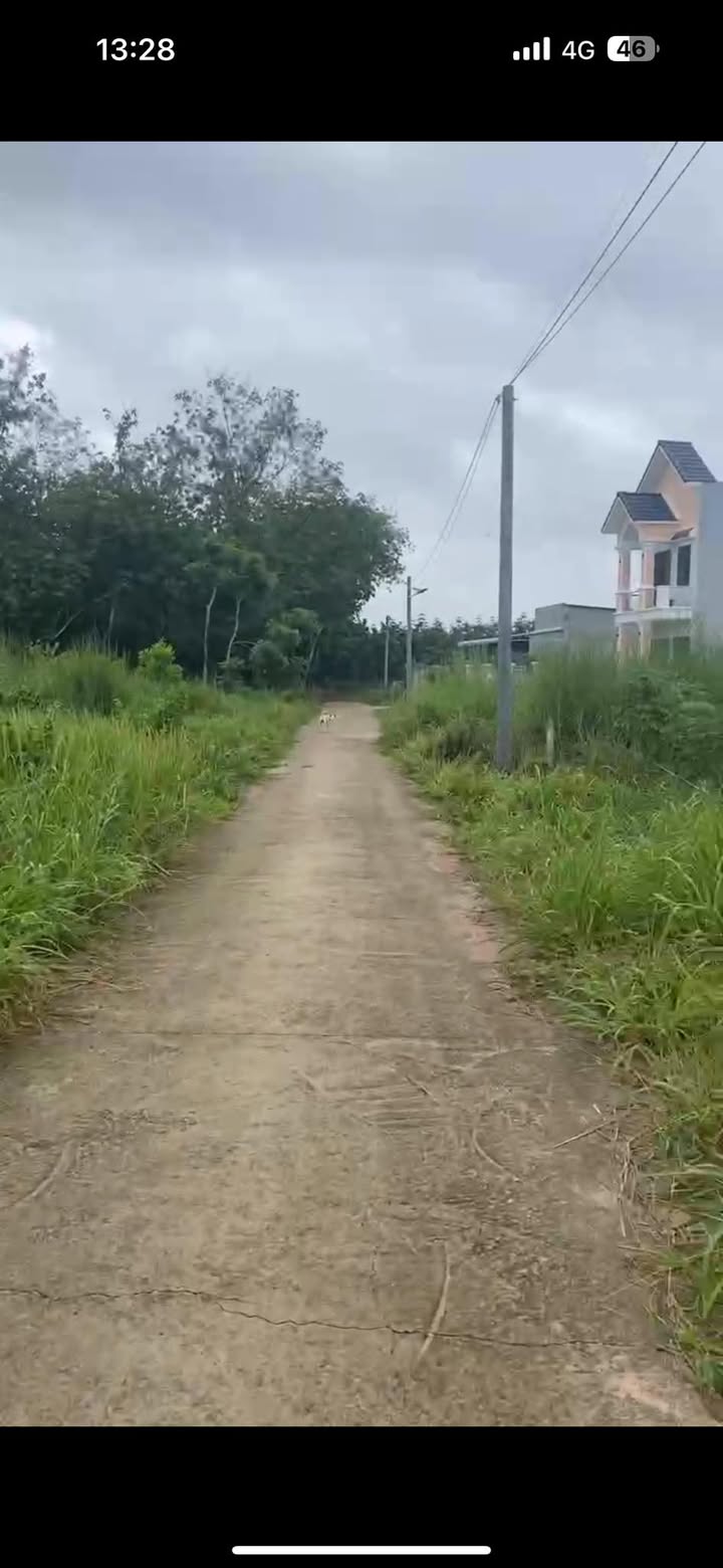 Đất nền Minh Tân Dầu Tiếng 500m² giá 600 triệu - Đầu tư sinh lời ngay!