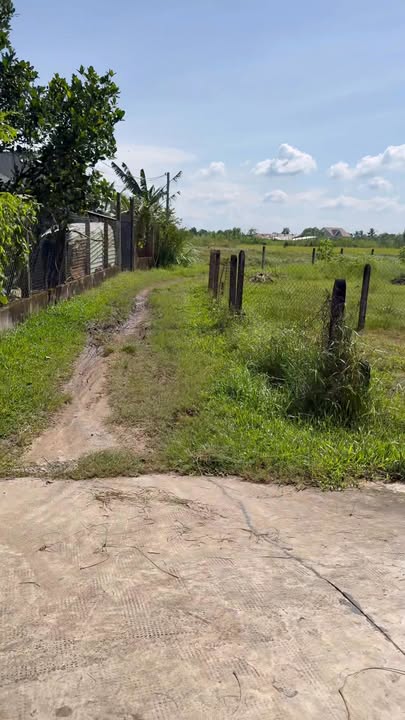 Đất nền xã Mỹ Hạnh Nam, Đức Hòa, 144m² giá 750 triệu - Sổ hồng riêng, đầu tư sinh lời!