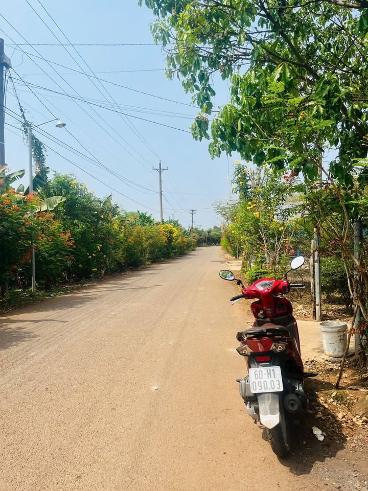 Đất thổ cư mặt nhựa Tân Lập, Định Quán 270m² giá 1.2 tỷ - Vị trí liên thông thuận lợi!