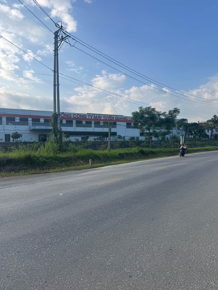 Đất thổ cư 200m² mặt tiền tại Bình Thuận, Tuyên Quang - Cơ hội đầu tư hấp dẫn!