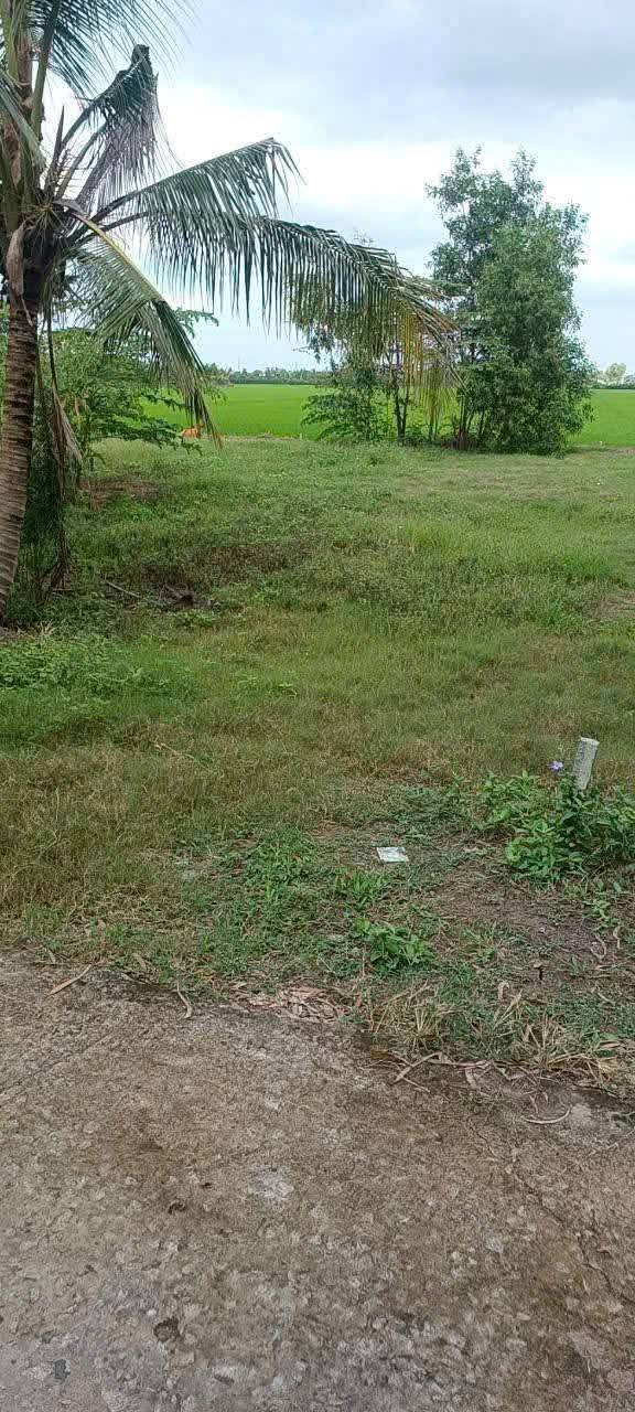 Đất nền 150m² tại ấp Hòa Thọ, Châu Thành, Kiên Giang - Giá chỉ 200 triệu VND