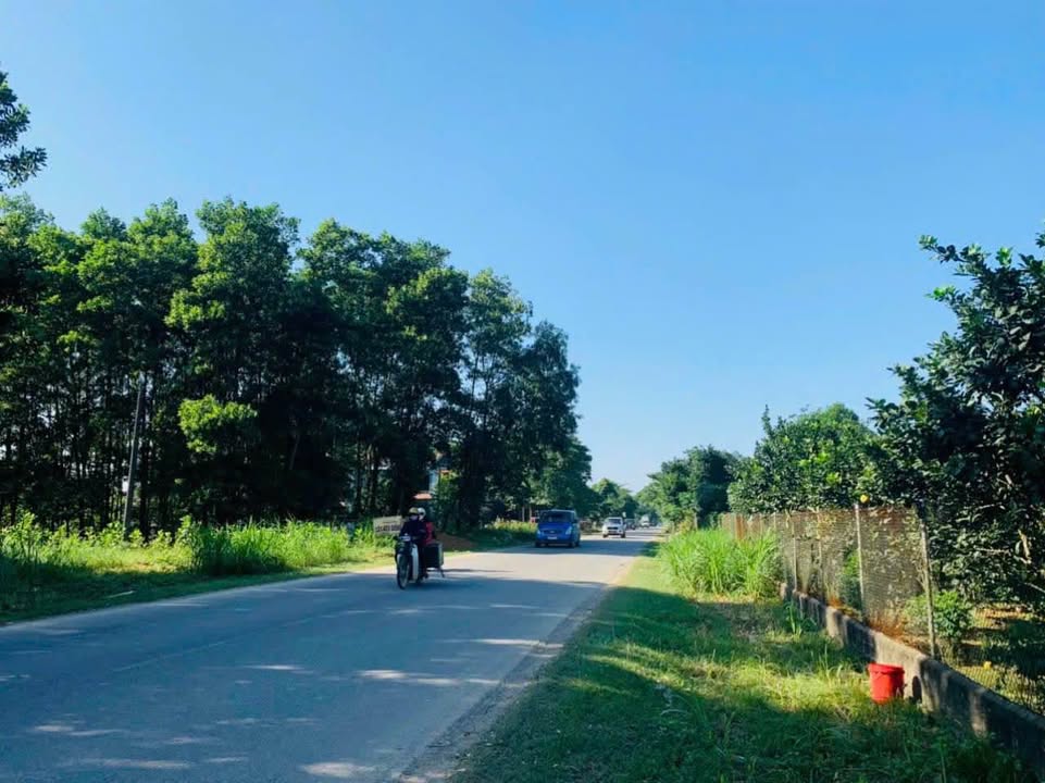 Đất nền Phú Thành, Lạc Thủy, Hòa Bình 125m² giá 777 triệu - Tiềm năng sinh lời cao!