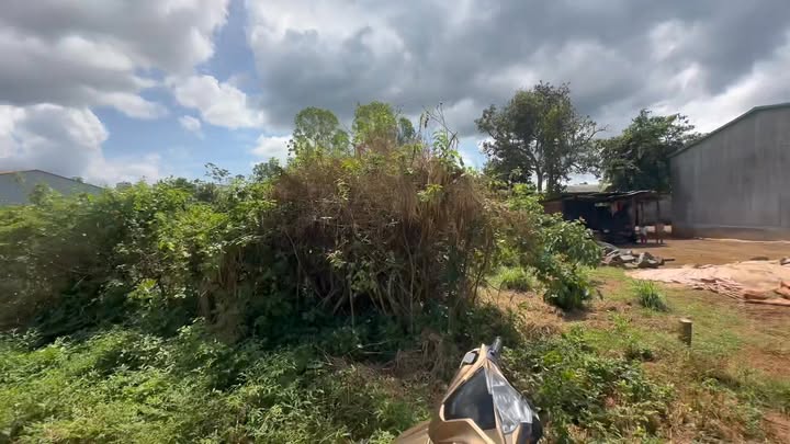 Đất nền khu dân cư Bông Lar, xã Ia Băng, huyện Đăk Đoa - Giá chỉ 540 triệu!