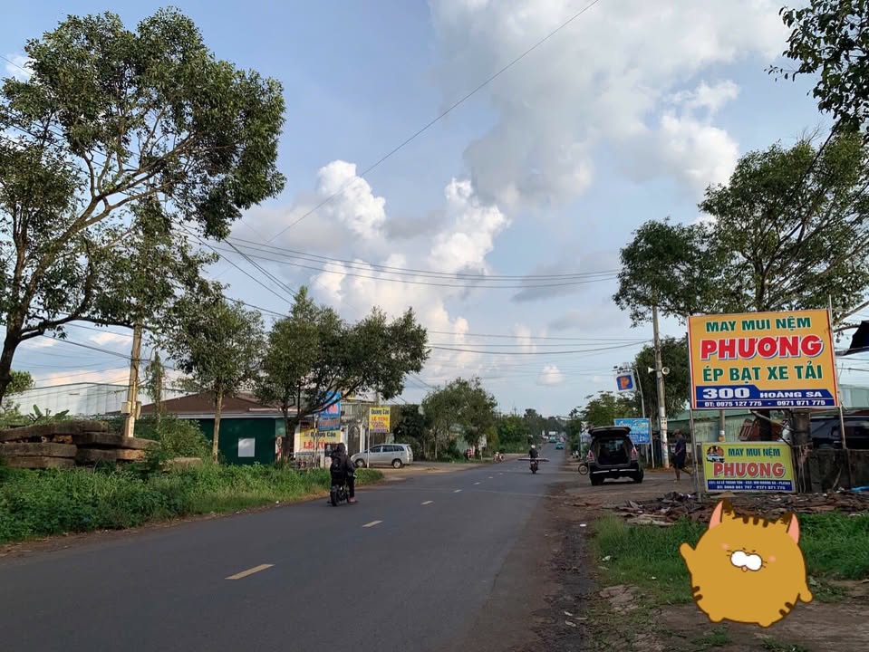 Đất nền Hẻm 01 Hoàng Sa, Diên Hồng 528m² giá 1.8 tỷ - Cơ hội đầu tư hấp dẫn!