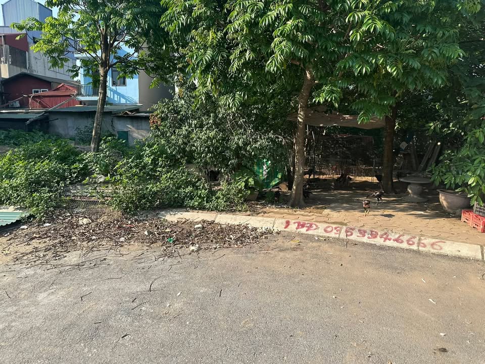 Đất nền Đại Áng, Thanh Trì 40m² giá 3 tỷ - Ô tô vào tận nơi!