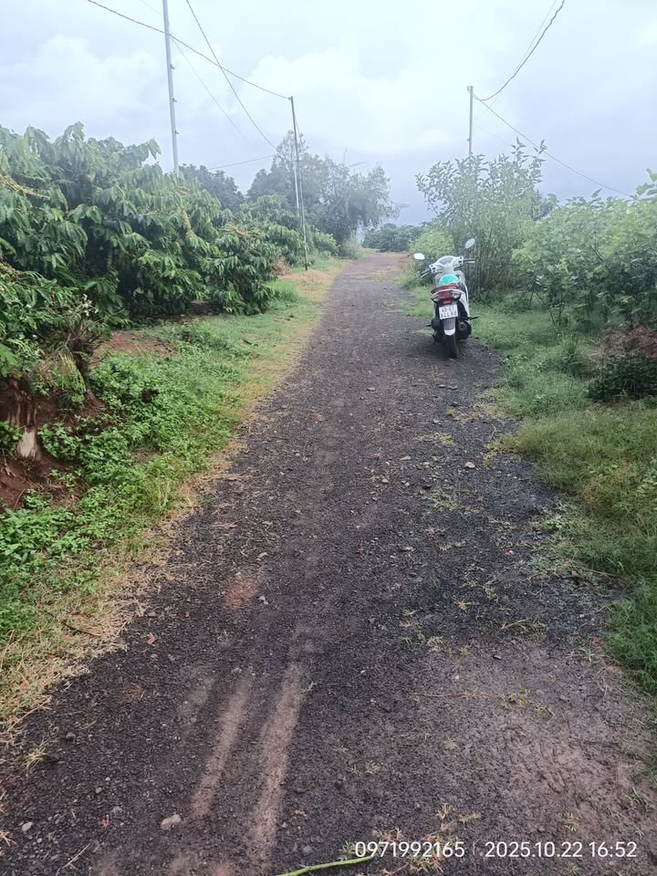 Đất nền Tân Hội Đức Trọng 2214m² giá 2.95 tỷ - Đầu tư sinh lời ngay!