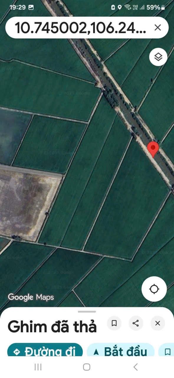 Đất nông nghiệp 5,3 mẫu tại huyện Thủ Thừa, Long An giá 5.642 tỷ - Cơ hội đầu tư hấp dẫn!