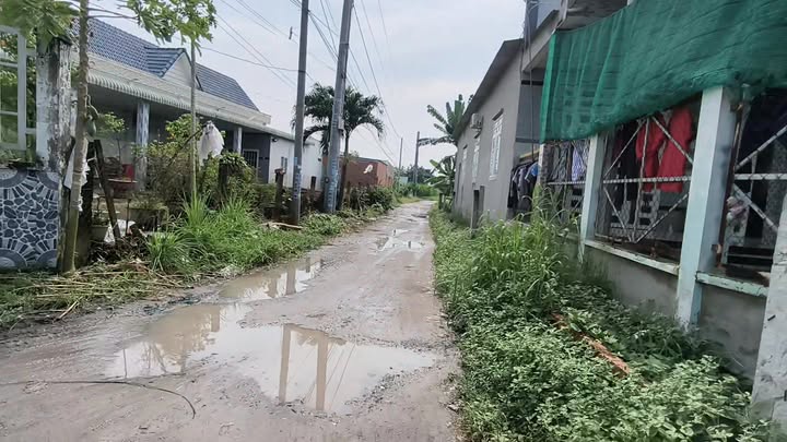 Đất thổ cư 175m² tại ấp Tân Hòa, Đức Lập Hạ - Giá chỉ 1.05 tỷ, sổ hồng chính chủ!