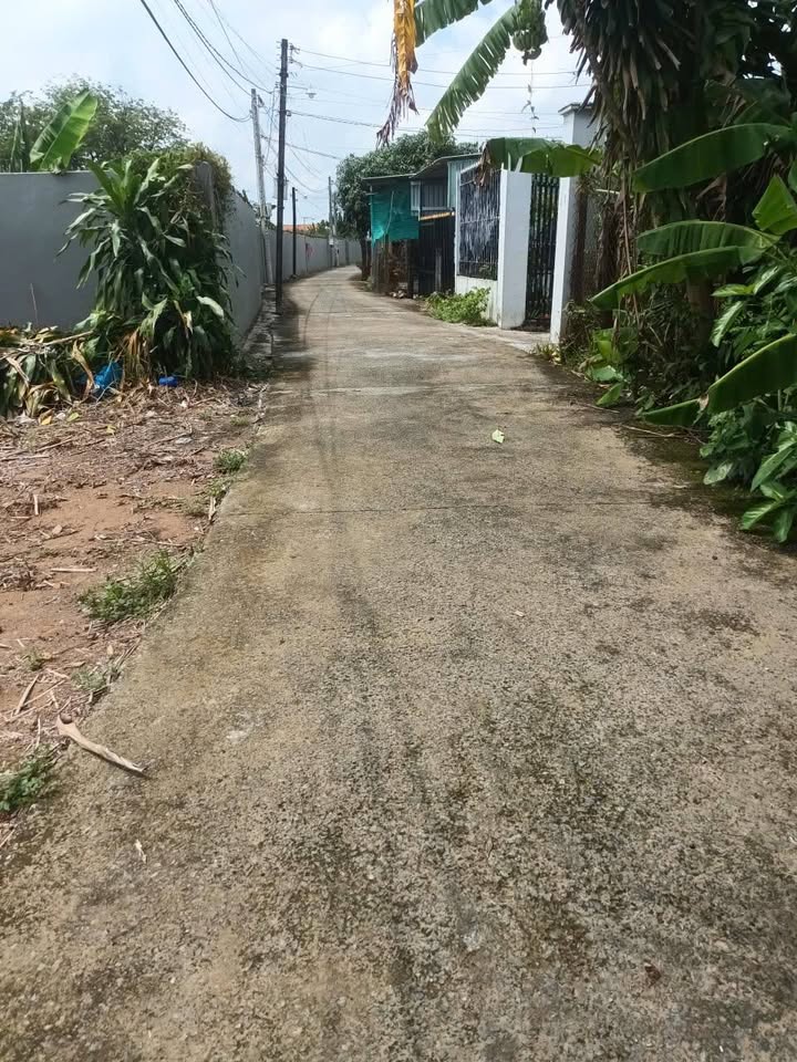 Đất vườn 1000m² xã Bình Tâm, Tân An - Giá chỉ 2.2 tỷ, cao ráo, ô tô vào tận nơi!