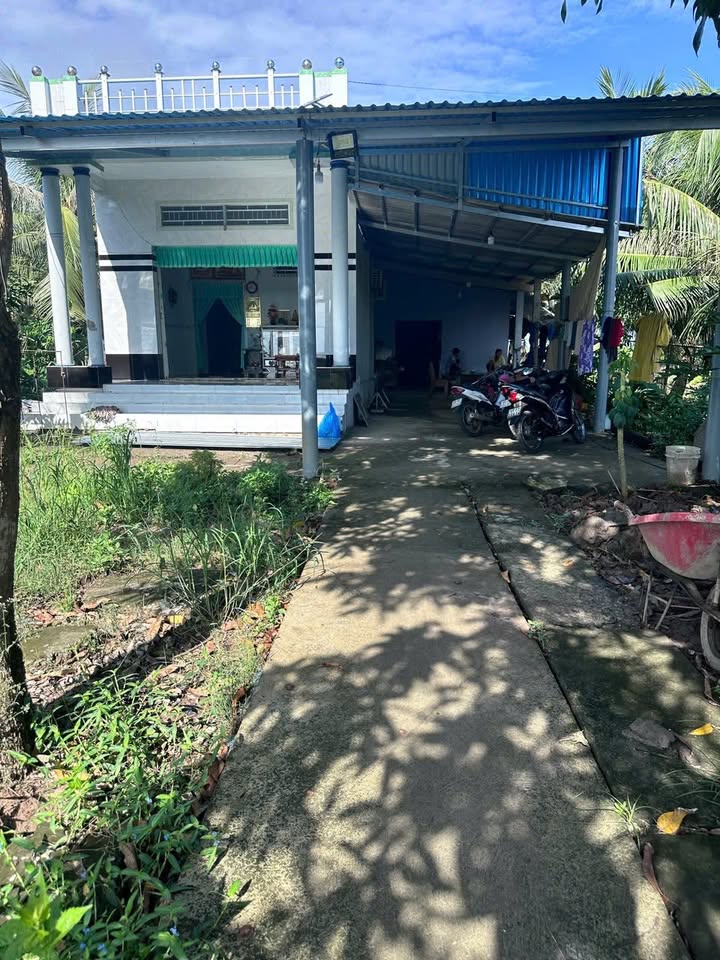 Đất nền 44 công tại Tân Thuận, Đầm Dơi giá 4.62 tỷ - Sổ hồng chính chủ!