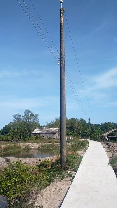 Đất Farm 816.000m² tại ấp Mai Hoa, Cà Mau - Giá chỉ 2.2 tỷ, cơ hội đầu tư tuyệt vời!