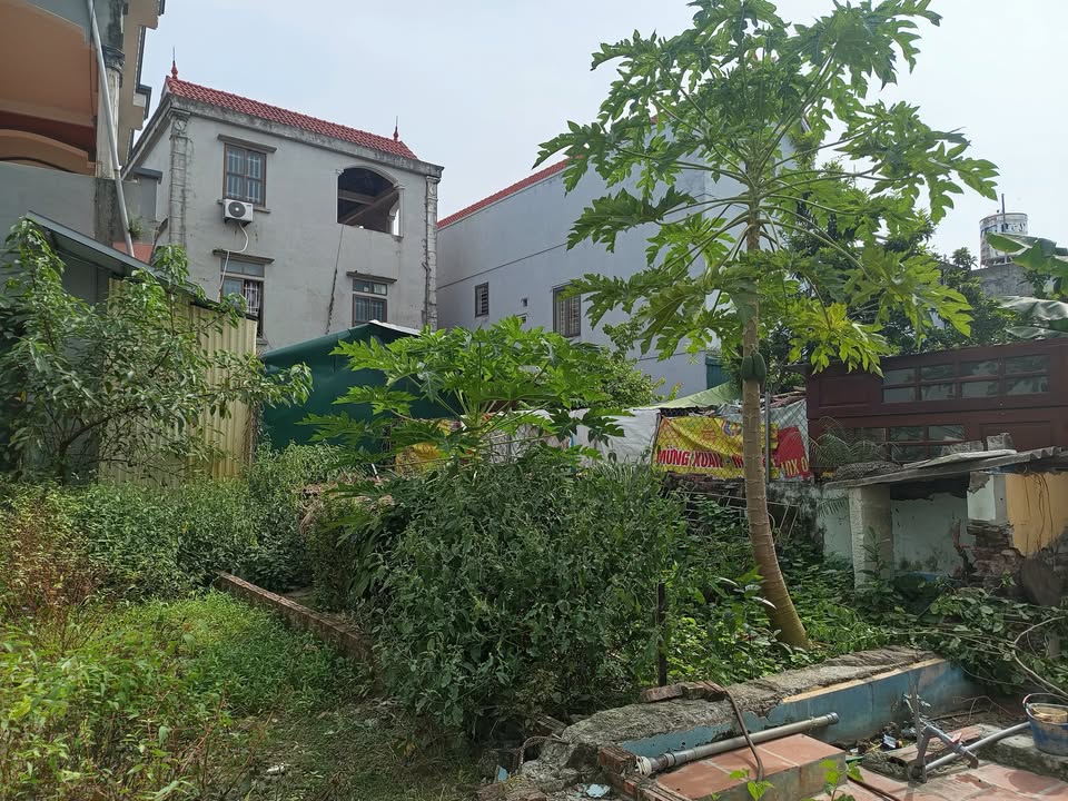 Nhà bán Đa Tốn, Gia Lâm 42m² giá 3.35 tỷ - Vị trí gần trường học