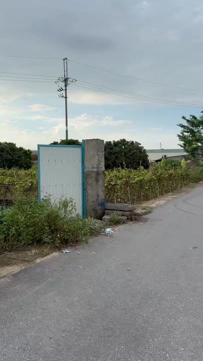 Đất nông nghiệp Hoài Đức 580m² giá 2 tỷ - Đường xe công đỗ cửa!