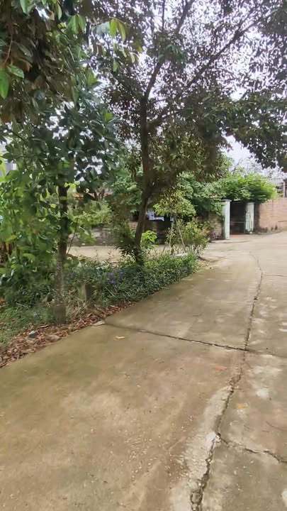 Đất nền góc 3 mặt tiền 109m² An Mỹ, Mỹ Đức - Giá hơn 1 tỷ hấp dẫn!