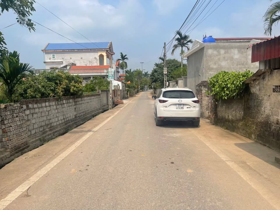 Đất nền thôn Lạc Dục, xã Đức Thắng, huyện Tiên Lữ, 123m² giá 2 tỷ - Đầu tư sinh lời tiềm năng!