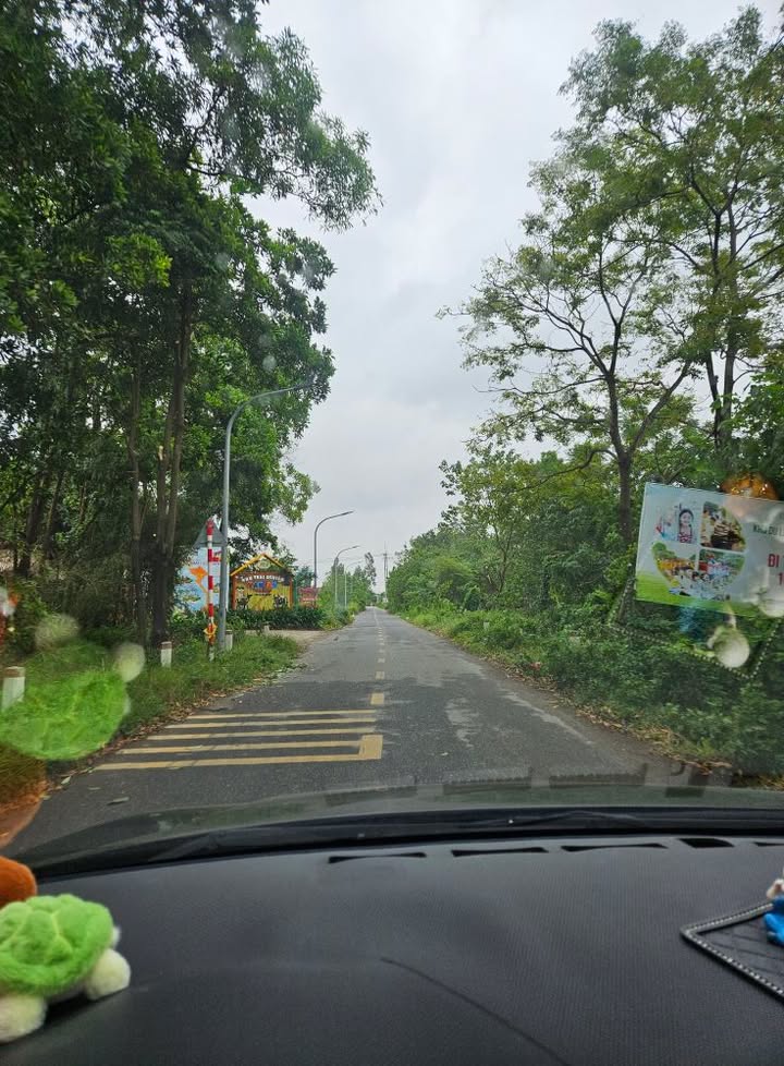 Đất thổ cư 290m² Yên Mỹ, Thanh Trì - Giá 580 triệu, Sổ đỏ chính chủ!