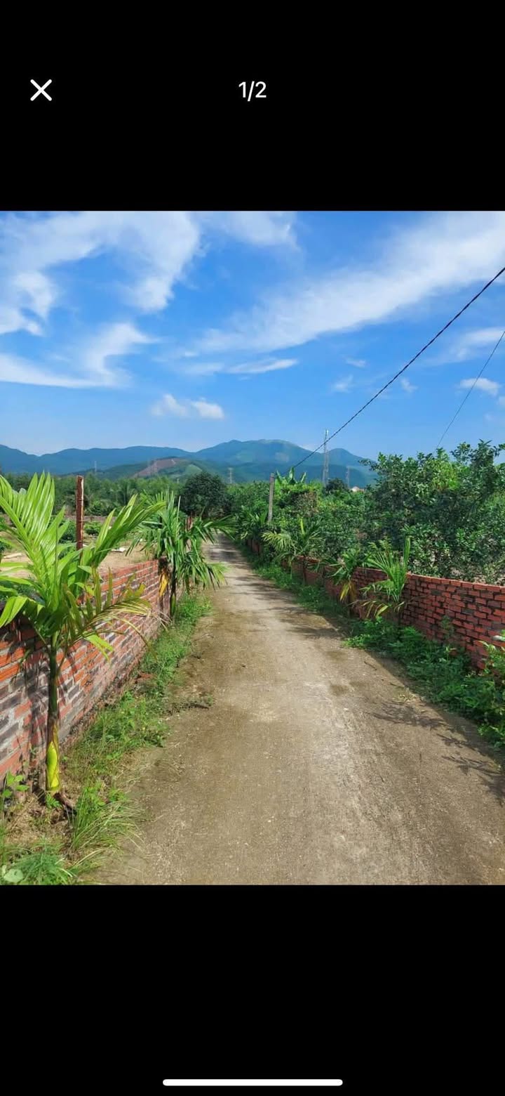 Đất CLN Khu Thành Long - An Sinh - Đông Triều 2982m² giá 600 triệu - Đầu tư sinh lời ngay!