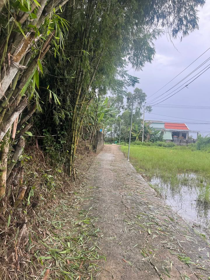 Đất nền thôn An Lạc Duy Thành 162m² giá 400 triệu - Sổ hồng chính chủ, đầy đủ pháp lý!