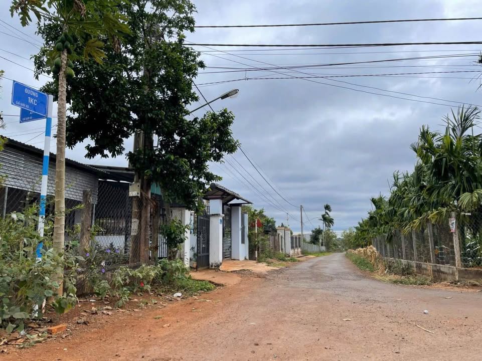 Đất nền đầu tư phường Tân An, Buôn Ma Thuột 9 sào giá chỉ 2.43 tỷ - Cơ hội vàng cho nhà đầu tư!