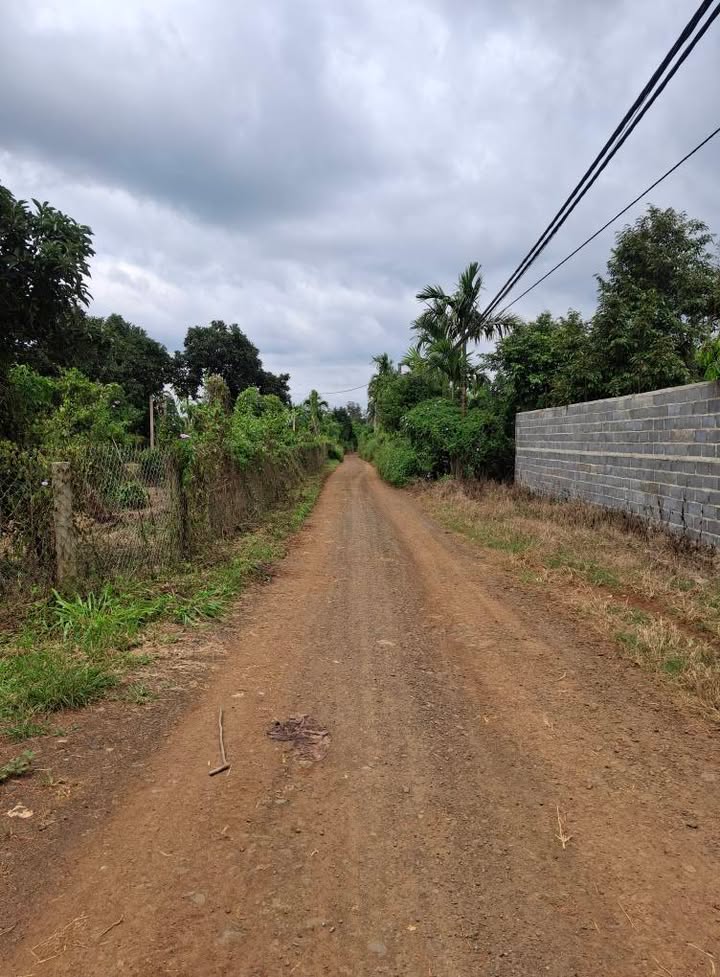 Đất nông nghiệp 1,3ha tại xã Cuôr Đăng, Cư M'gar - Giá 2.52 tỷ, sổ hồng chính chủ!