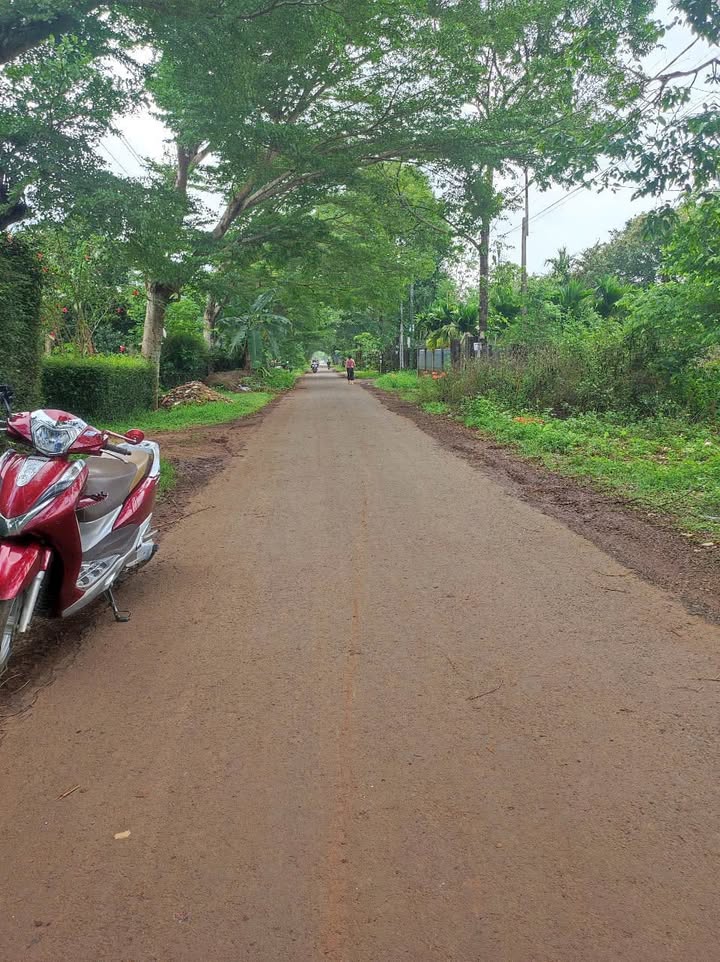 Đất mặt tiền 171 Hoà Thắng, Tân Lập, 550m² giá 3.3 tỷ - Đầu tư sinh lời ngay!