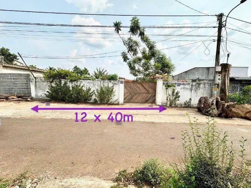 Nhà vườn mini hẻm Hà Huy Tập 480m² giá 6.5 tỷ - Cơ hội hiếm có giữa lòng thành phố!