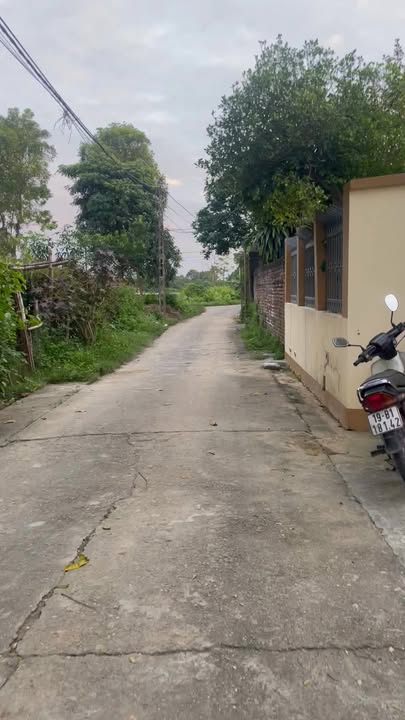 Đất nền Sông Lô, Việt Trì 135m² giá chỉ 1.2 tỷ - Cơ hội vàng cho nhà đầu tư!